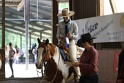 25-APHA AT_141